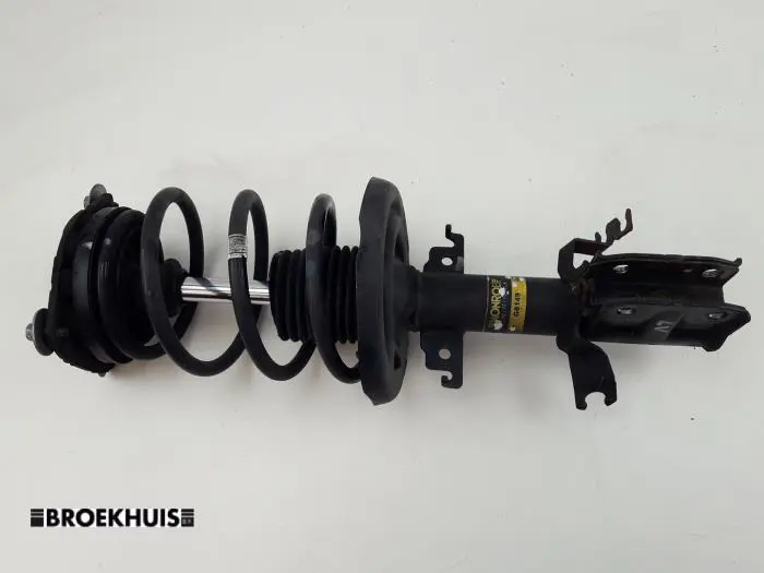 Front shock absorber rod, left Renault Megane