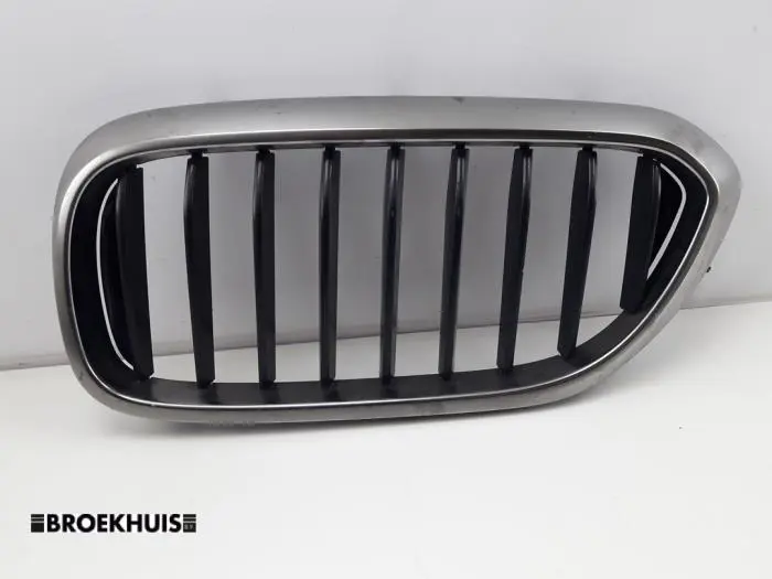 Grill BMW 5-Serie