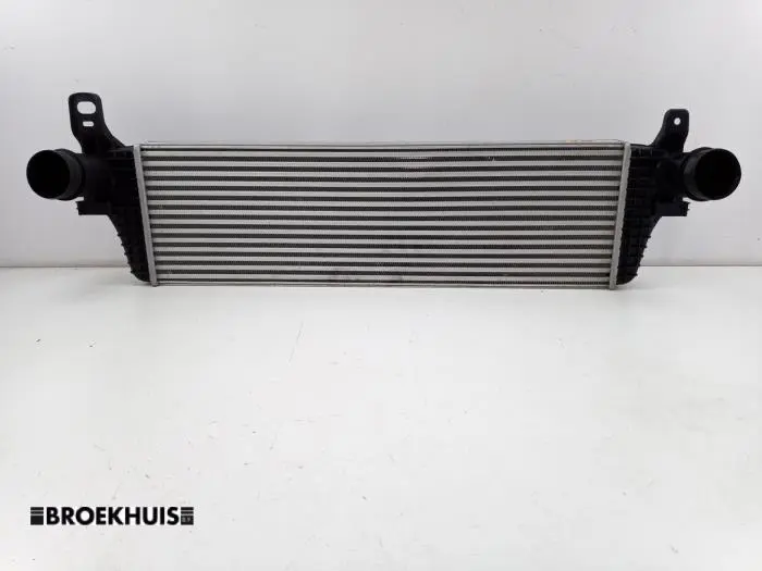 Intercooler Volkswagen Transporter